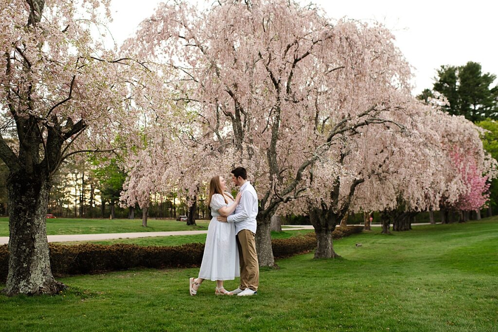 couple looking at each other in front of pink spring tree